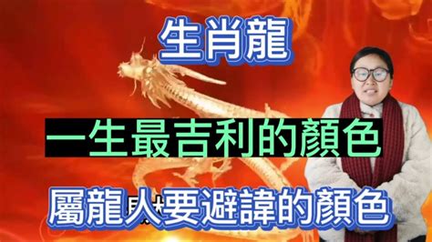 屬龍適合顏色|屬龍的適合什麼顏色？